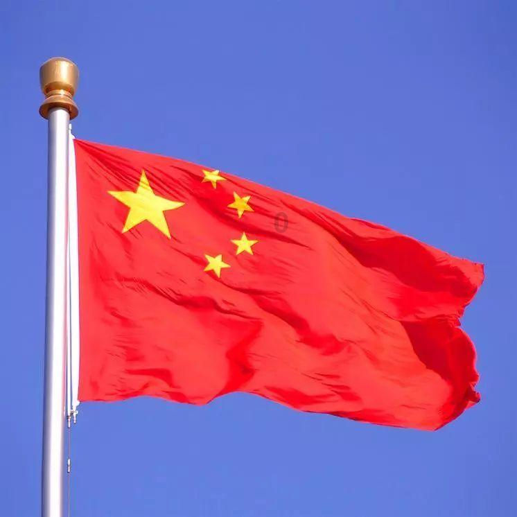忍者鲨鱼